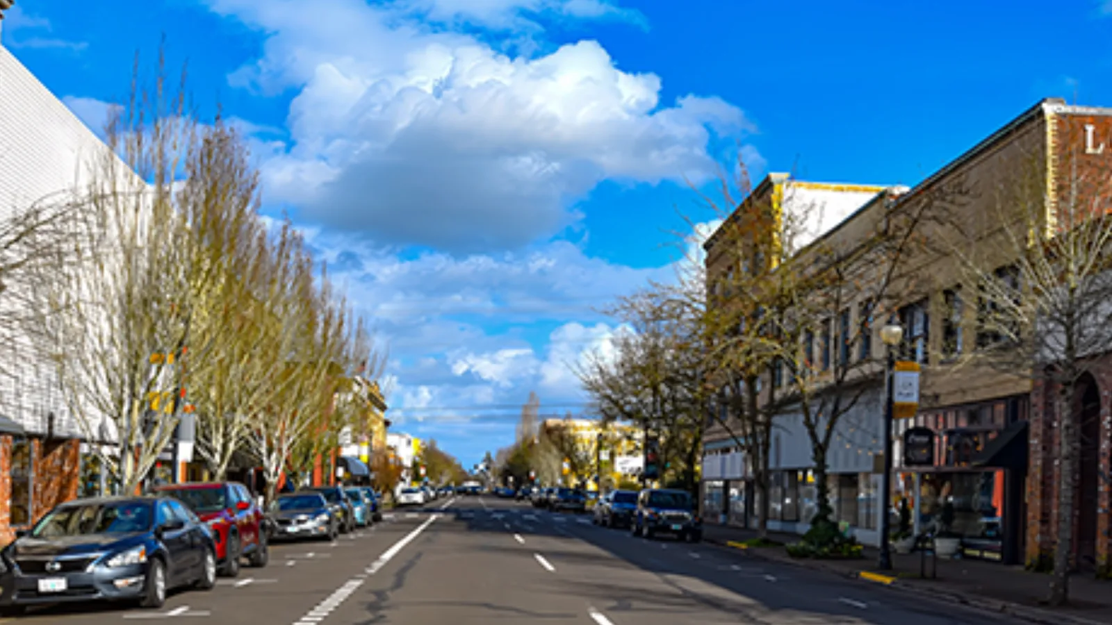 Excavation contractor in Albany, OR